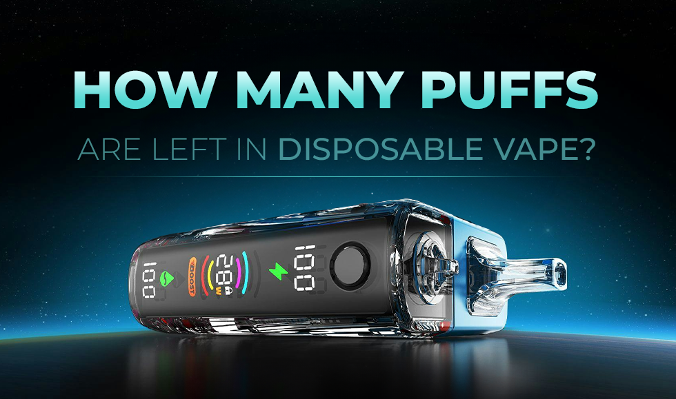 How to Check Puff Count on a Disposable Vape? How to Check Puff Count on a Disposable Vape?