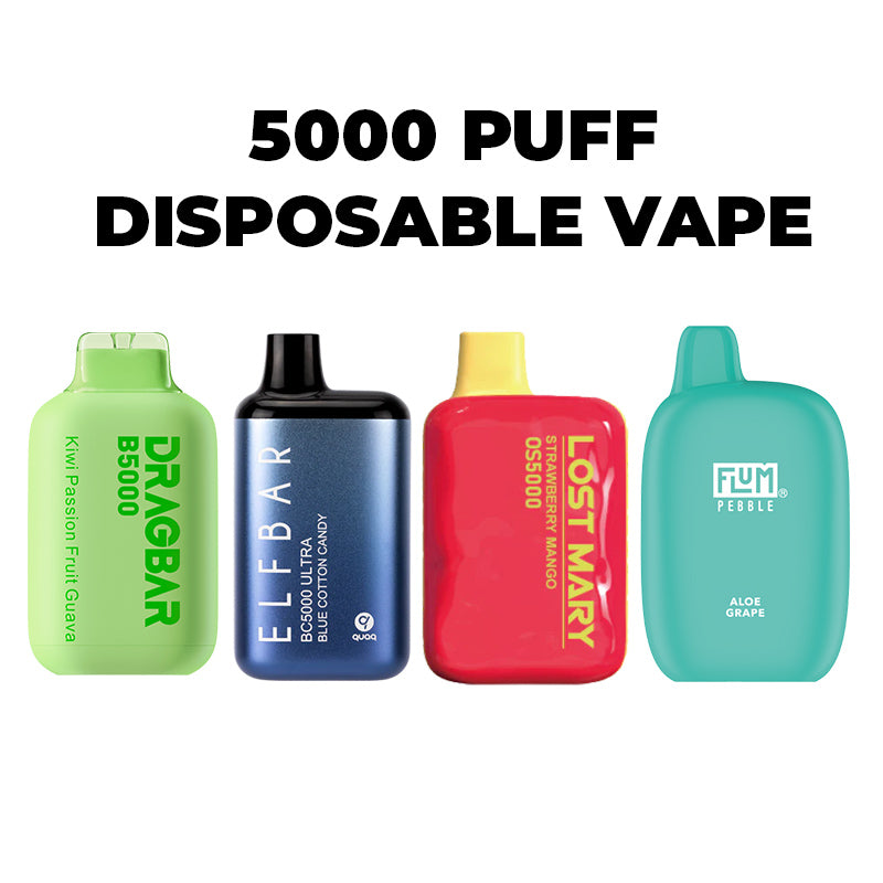 5000 Puff Disposable Vape