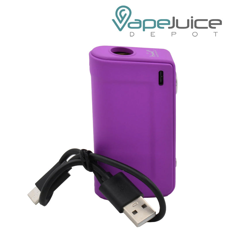Hamilton Devices The Shiv Vaporizer and USB cable in front of it - Vape Juice Depot