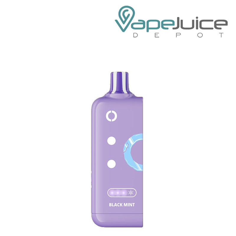 Black Mint Foger Switch Pro Disposable Vape Kit with LED indicator light – Vape Juice Depot