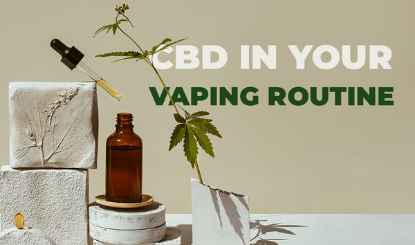 How to Incorporate CBD Into Your Vaping Routine