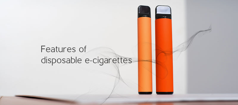 Features of disposable e-cigarettes