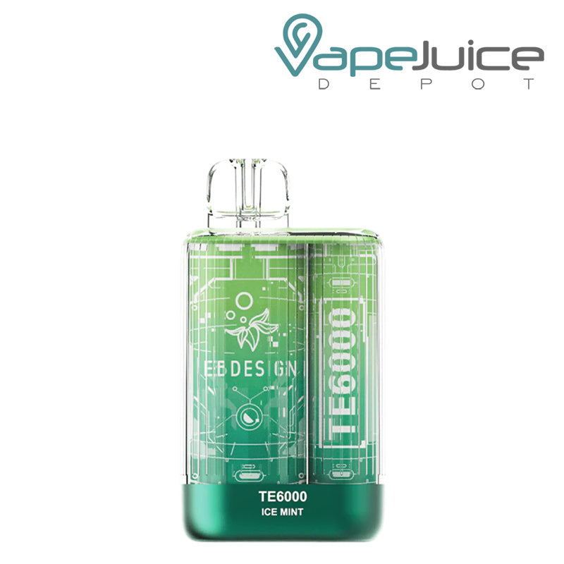 Ice Mint EB TE6000 Disposable - Vape Juice Depot