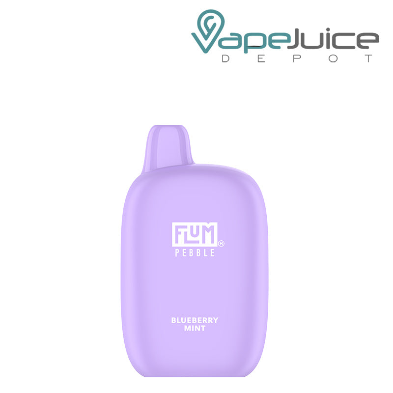 Blueberry Mint Flum Pebble 6000 Disposable - Vape Juice Depot