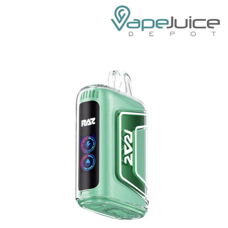 Miami Mint Geek Vape RAZ TN9000 Disposable  and a 0.96″ HD Display Screen with eLiquid/ Battery Indicators- Vape Juice Depot