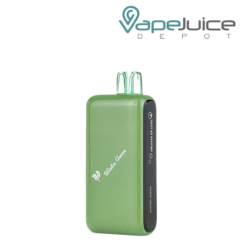 Winter Green Pillow Talk Nic Control NC40000 Disposable Back side - Vape Juice Depot