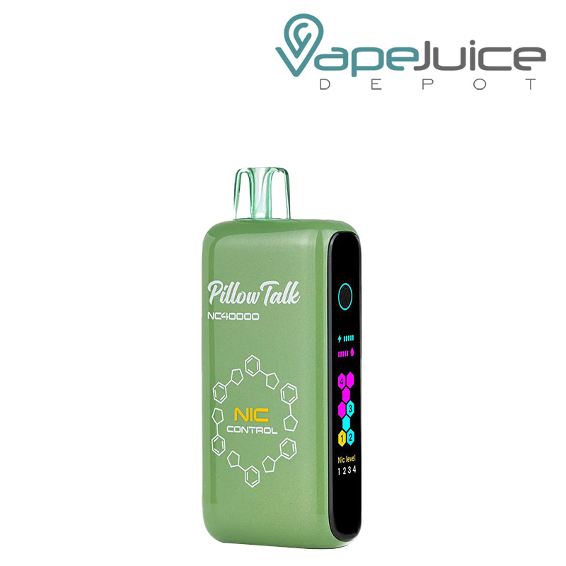 Winter Green Pillow Talk Nic Control NC40000 Disposable - Vape Juice Depot