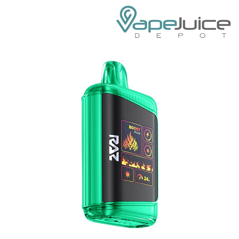 Wintergreen RAZ DC25000 Disposable Vape with a HD display screen - Vape Juice Depot