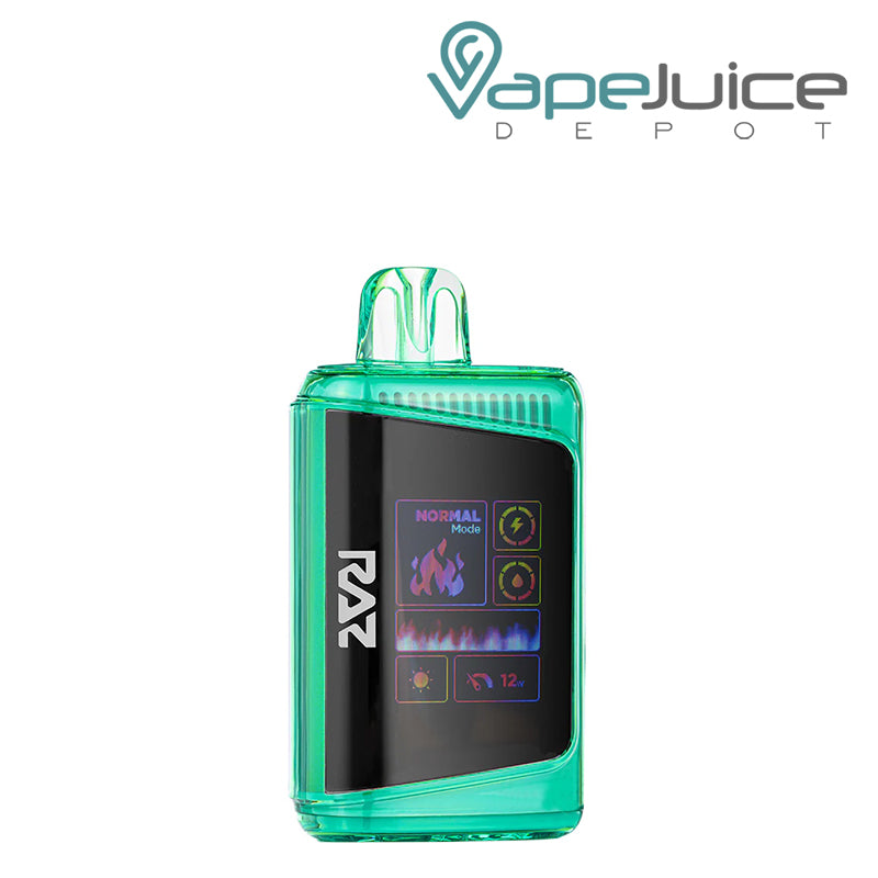 Jewel Spearmint RAZ DC25000 Disposable Vape with a HD display screen - Vape Juice Depot