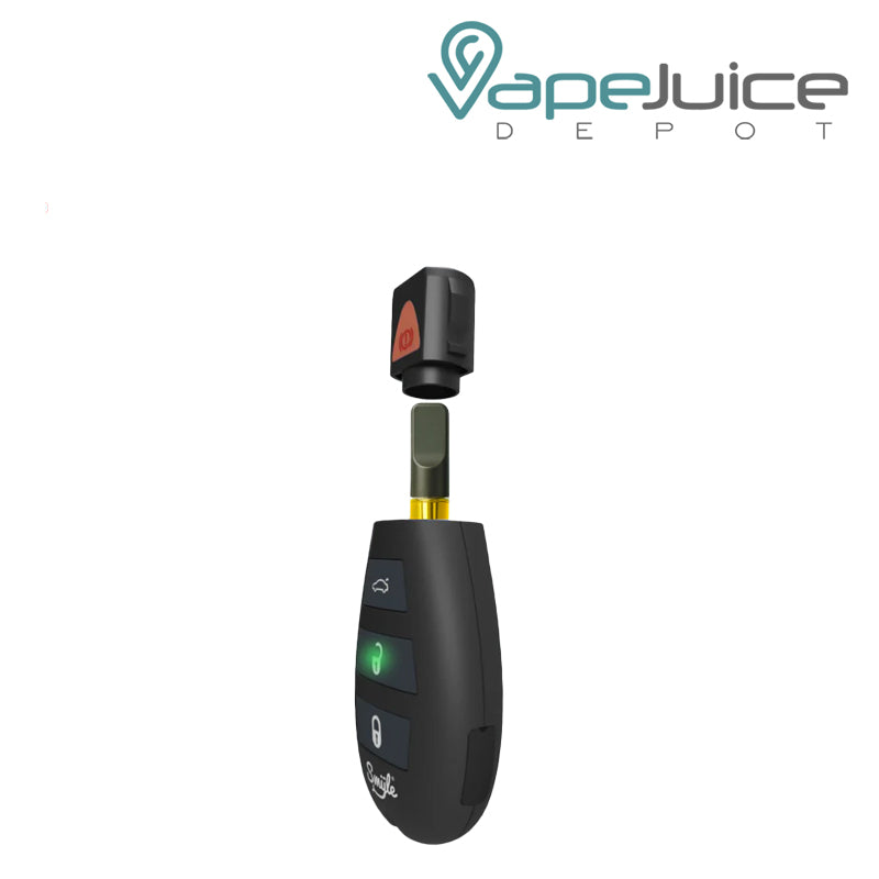 Smyle Penjamin Car Key Battery